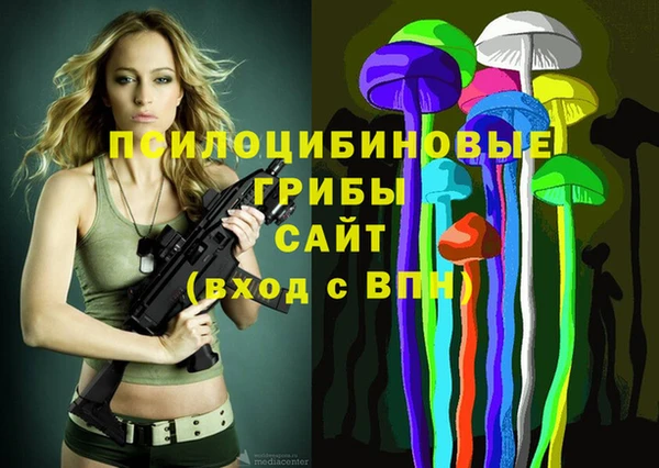 синтетический гашиш Арсеньев