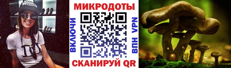 цены   Всеволожск  Псилоцибиновые грибы ЛСД 